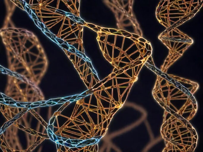 Solving the Travelling Salesman Problem Using a Genetic Algorithm